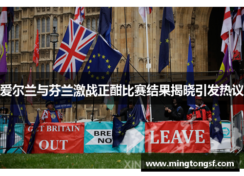 爱尔兰与芬兰激战正酣比赛结果揭晓引发热议