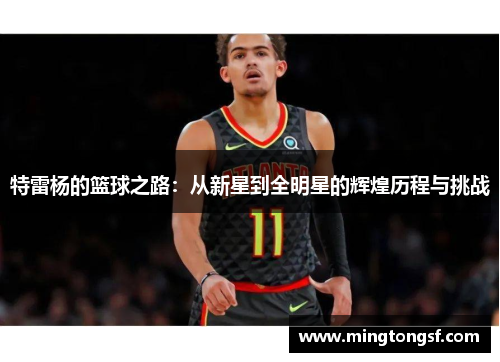 特雷杨的篮球之路：从新星到全明星的辉煌历程与挑战